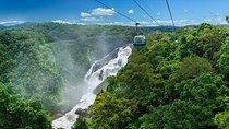 Skyrail Rainforest Cableway Day Trip from Port Douglas