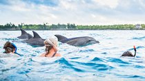 Kizimkazi Dolphin Tour