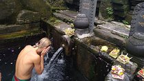 Ubud Amazing Day Trip
