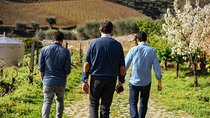 Douro Valley Private Day Trip including Boat Ride & Wine Tasting