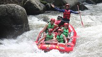 Bali Rafting Including Lunch and Transport