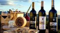 Taste of Tuscany San Gimignano Winery with Transfer from Florence