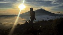 Private Tour: Bali Mount batur Sunrise Hike & coffe Platantion