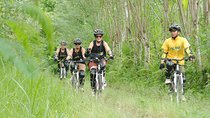 Kintamani Downhill Cycling Tour
