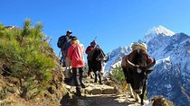 14 Days Everest Base Camp Trek from Kathmandu (All Inclusive)