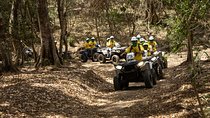 Jungle double ATV Tour "El Mirador" (ride tandem on ATV)