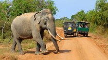 Adventure Tour in Sri Lanka (17 Days)