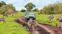 7-Days Private Midrange Safari; Serengeti & Ngorongoro Crater