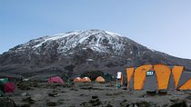 7 Days Lemosho Route - Climb Mount Kilimanjaro