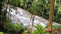 Dunns River Falls and Bob Marley Nine Mile Private Tour