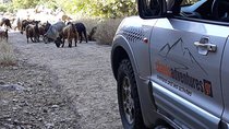 Private - Jeep Safari Tour with Lunch and Tastings