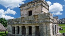 Private Tour: Tulum swimming with turtles and wild cenote in jungle