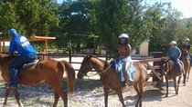 Horseback Ride Ziplining and Dunn's River Falls Adventure from Montego Bay,