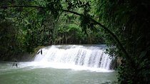 Ys Falls Private Tour