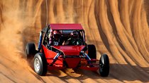 Dune Buggy Experience