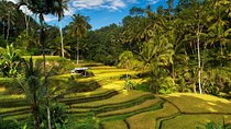 Private 4-Day Tours - Best Bali Tours Package - Best of Bali Highlights