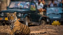 Golden Triangle Tour with Ranthambore (5 Star Hotel)