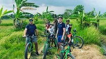 Tanah Lot Temple Canggu Rice Field eBike Private Tour
