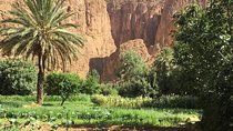 Day trip to the three valleys from Marrakech