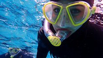 Mallorca: Snorkeling in a Beautiful Nature Reserve