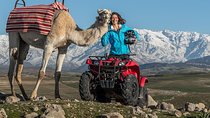 Camel and Quad in Marrakech