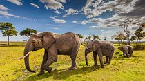 5-Days Best Wildlife Safari: Amboseli & Tsavo West National Park Private Safari