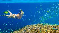 Private 3-Hour Snorkeling Tour with Arch Tour and Beach Time