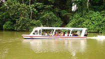 Sarapiqui River Cruise & Rainforest Walk. Private Tour