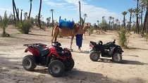From Marrakech: Palm Grove Quad Bike and Camel Ride Tour
