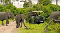 Chobe Full Day Trip