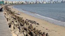 Full day mumbai city tour