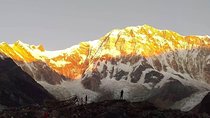 Short Annapurna Base Camp Trekking - 7 Days