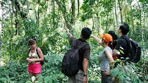 Bali Jungle Trek, Banyumala Fall, Wana Giri Hill And Top Temple
