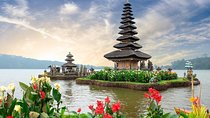 Top North Part Of Bali and Scenic SightseeingTours