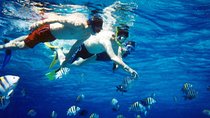 Snorkeling Cruise from Hurghada to Mahmaya, Giftun Islands