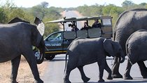 4 Day Classic Kruger National Park Safari