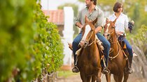 Horseback Riding and Winery Lunch Experience in San Gimignano