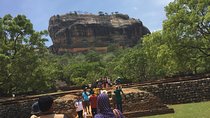 Sigiriya & Dambulla Day Tour