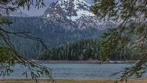 Black Lake and Djurdjevica Tara Bridge (Private tour)