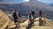 10 Days Himalaya Downhill Mountain Biking & Homestay