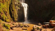 Day Trip to Ouzoud Waterfalls from Marrakech