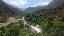 Day Trip To Ourika Valley from Marrakech