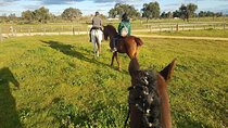 Horseback Riding Experience in Aljarafe, Doñana park from Seville