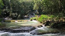 Ys Falls & Black River Safari Boat Cruise [Transportation only]