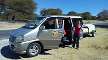 One Way Livingstone Airport Shuttles