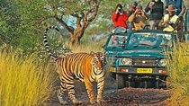 Golden Triangle Tour with Ranthambore (3 Star Hotel)