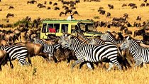 7 Days Tanzania Luxury Safaris