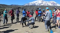 Kilimanjaro Trek 7 Days - Machame Route