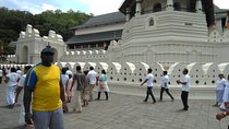 Private all inclusive Day tour Kandy, Pinnawala, & your own selected attractions