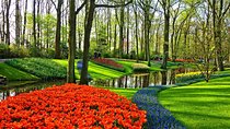 Private Keukenhof, Gardens, Windmills, cheese tour from Amsterdam